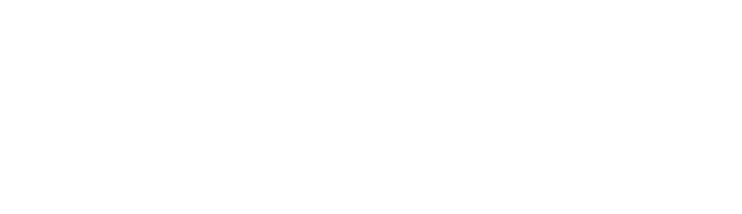 custom bike logo 